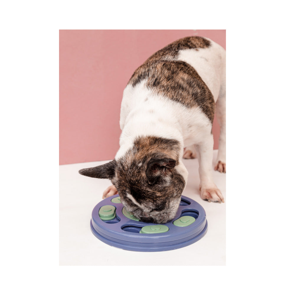 Labirinto Interativo para Cães e Gatos